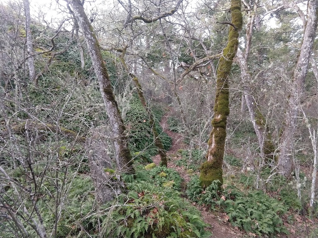 Mt. Douglas Park | Unnamed Road, Victoria, BC V8N 4Y9, Canada