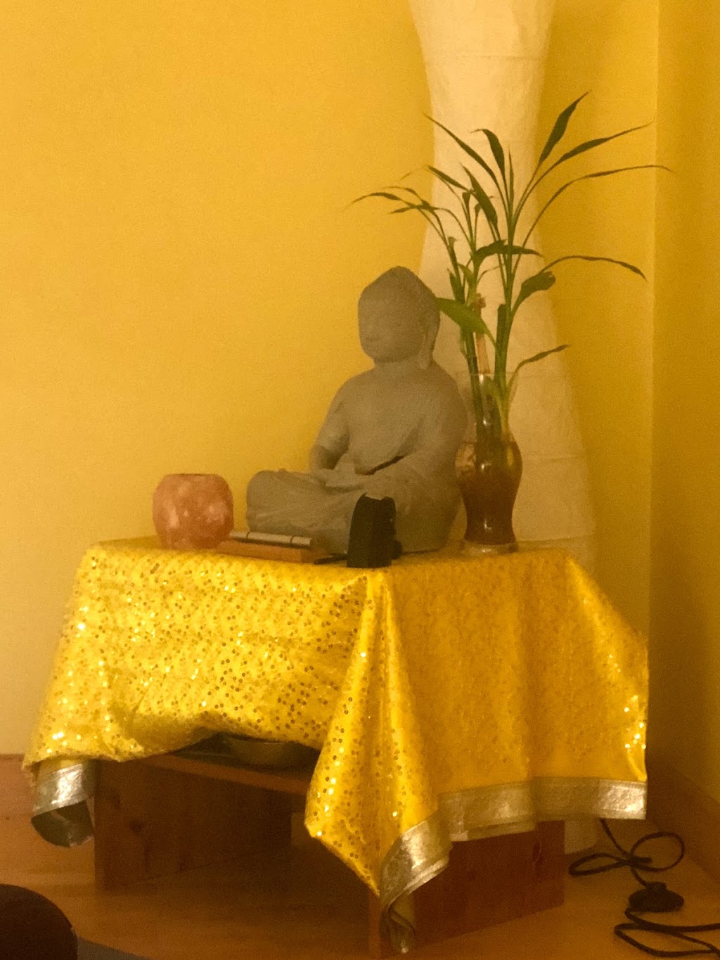 Yoga By The Sea | 1055 Roberts Creek Rd, Sechelt, BC V0N 3A0, Canada | Phone: (604) 989-2382