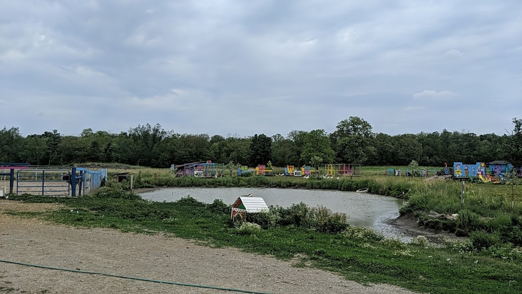 Ostrich Land Farm | 8299 Concession 2 Rd, Caistor Centre, ON L0R 1E0, Canada | Phone: (647) 988-0841