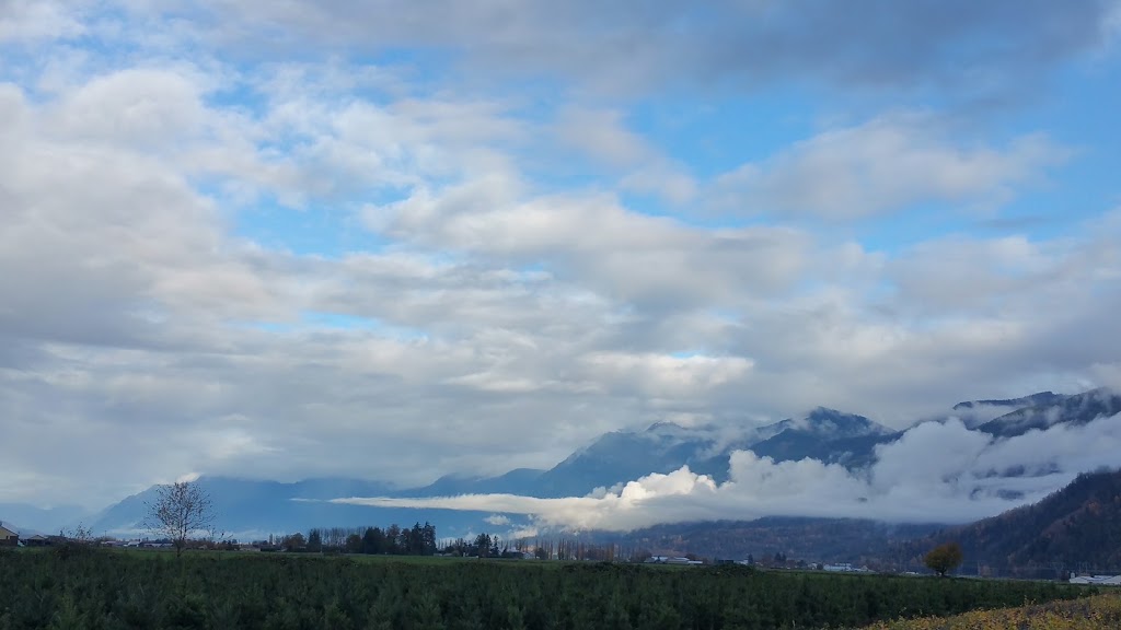 Enas Community Cats | 6900 Prest Rd, Chilliwack, BC V2R 4W4, Canada | Phone: (604) 858-9045