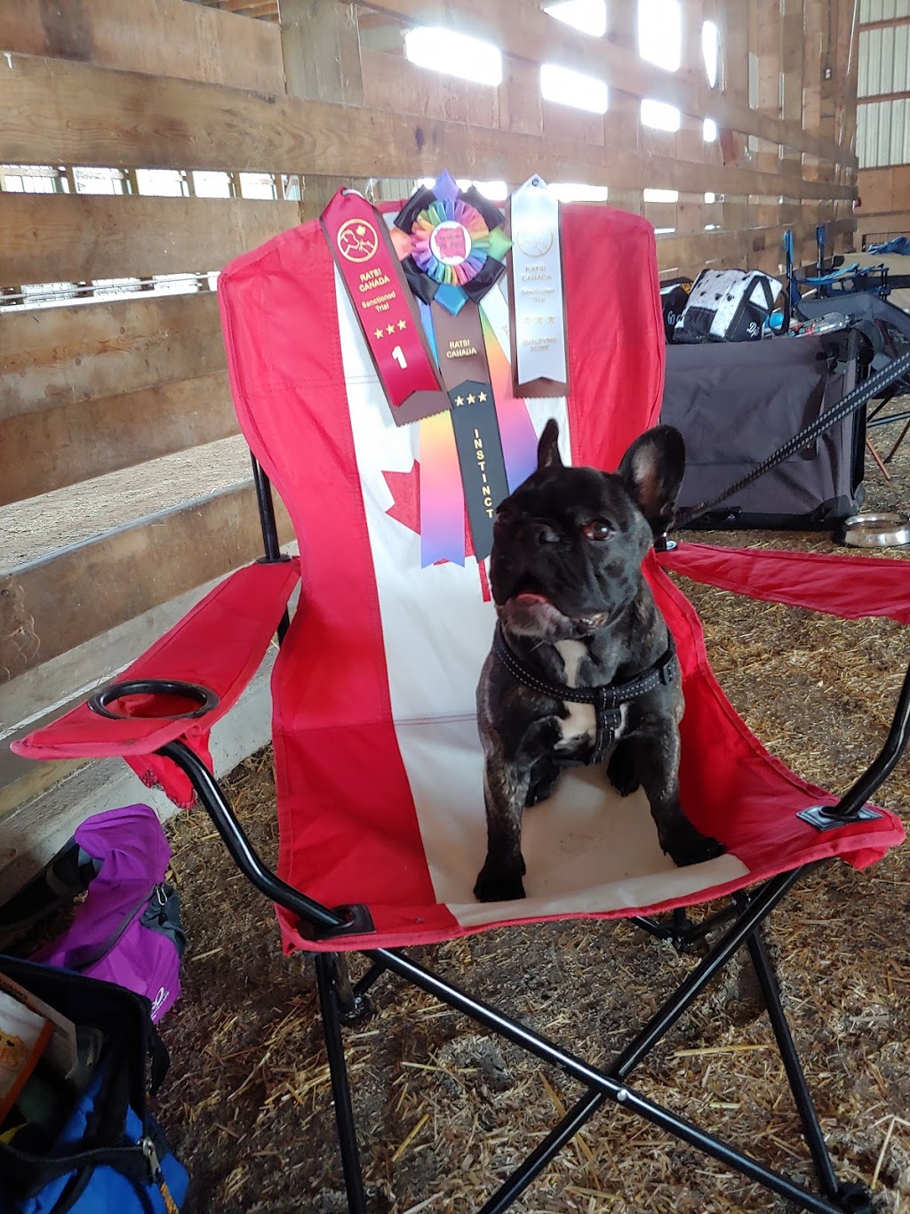 Maxville Fair Grounds | 35 Fair St, Maxville, ON K0C 1T0, Canada | Phone: (613) 527-2014