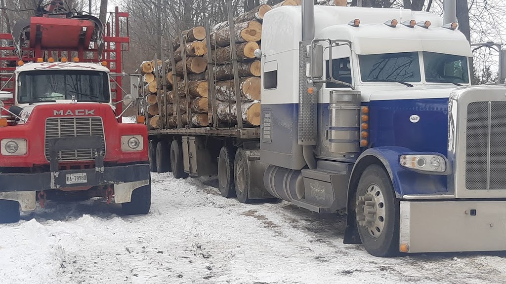 Leclair Forestry Services | Lazier Rd, Belleville, ON K8N 4Z6, Canada | Phone: (888) 917-9663