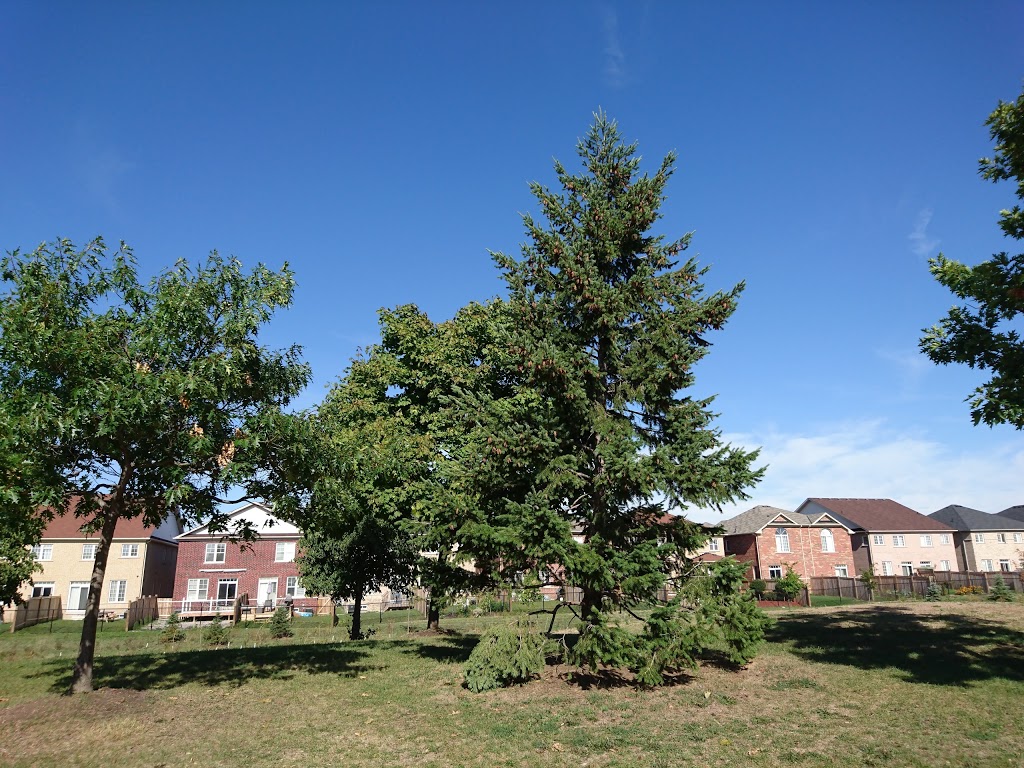 Heatherleigh Park | 5284 Heatherleigh Ave, Mississauga, ON L5V 1Z9, Canada