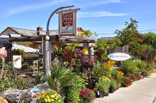 Sandpiper Garden & Glass | 2891 Laurel St, Chemainus, BC V0R 1K0, Canada | Phone: (250) 246-2421