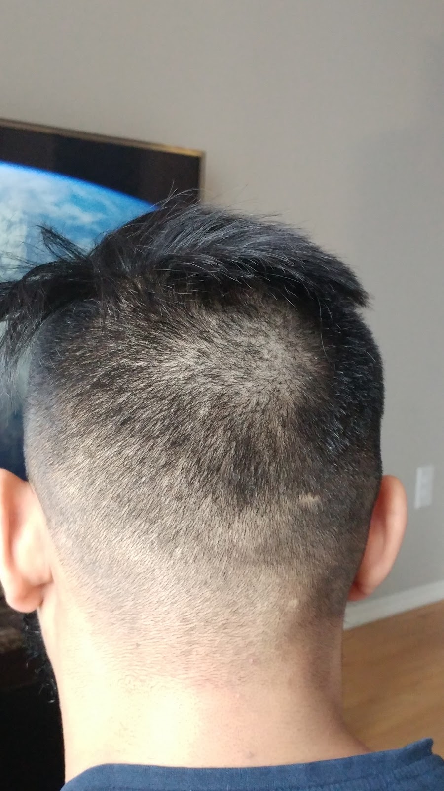 European Hair Design | 2116 Pembina Hwy, Winnipeg, MB R3T 2G8, Canada | Phone: (204) 269-1492
