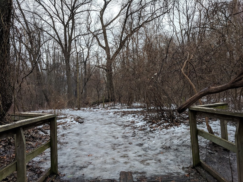 OJIBWAY TOM JOY WOODS | 5200 Matchette Rd, Windsor, ON N9C 4E8, Canada | Phone: (519) 966-5852