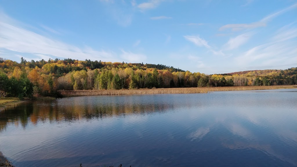 Red Deer Log Cabins | 6471 Highway 523, Madawaska, ON K0J 2C0, Canada | Phone: (613) 637-5215