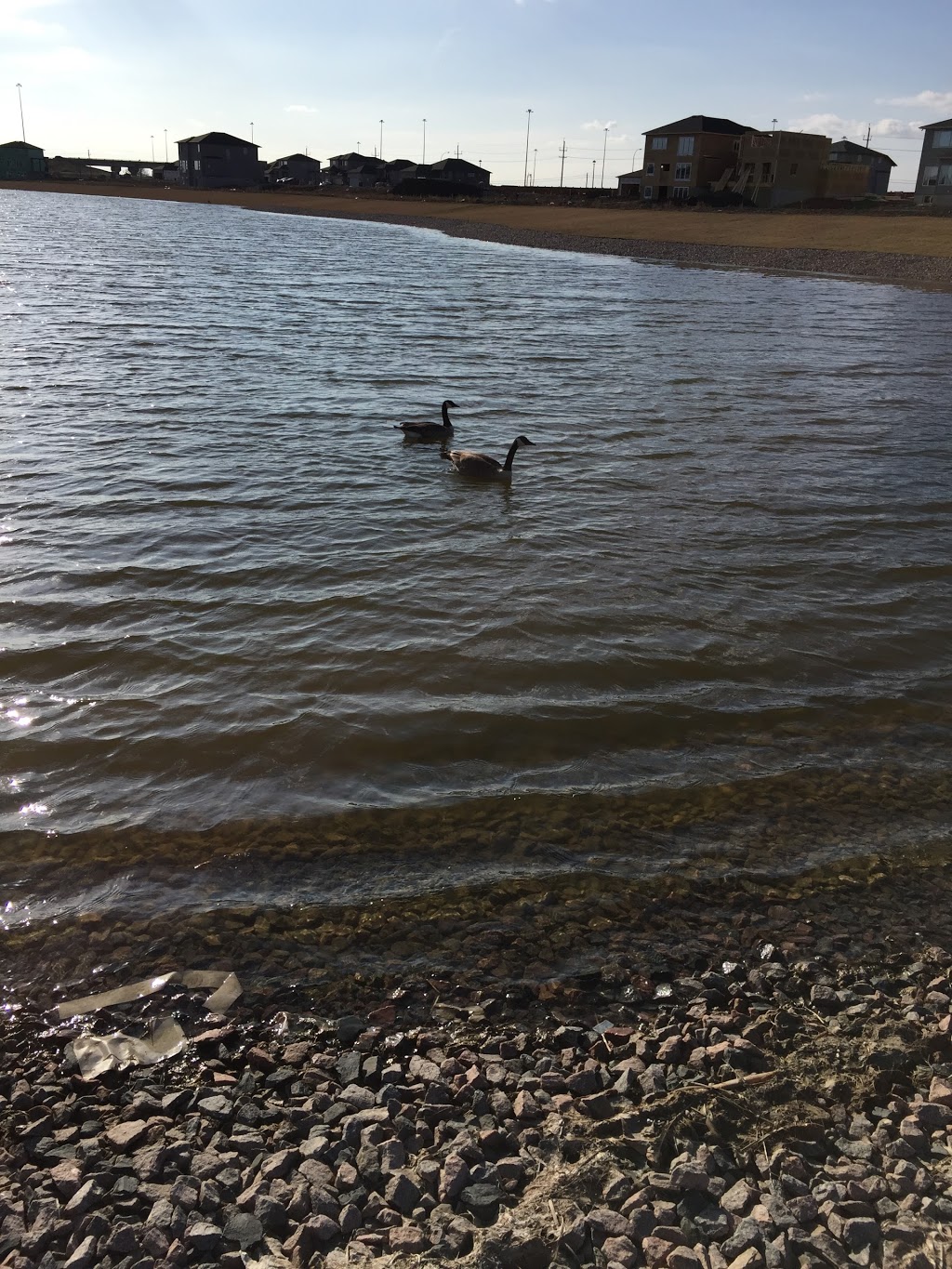 Arth Lake | Angela Everts Dr, Winnipeg, MB R3W 1R4, Canada | Phone: (204) 898-7819