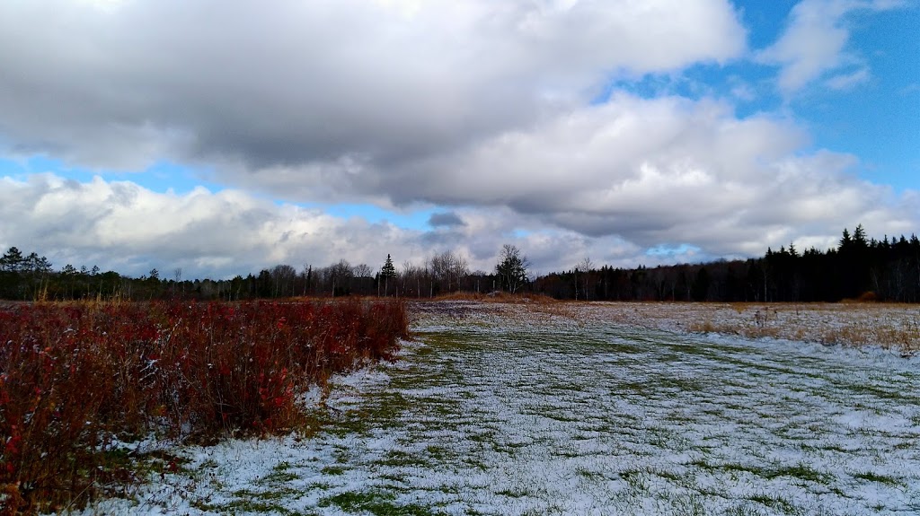 Barkway Farms | 1043 Hopkins Rd, Gravenhurst, ON P1P 1R3, Canada | Phone: (705) 606-2214