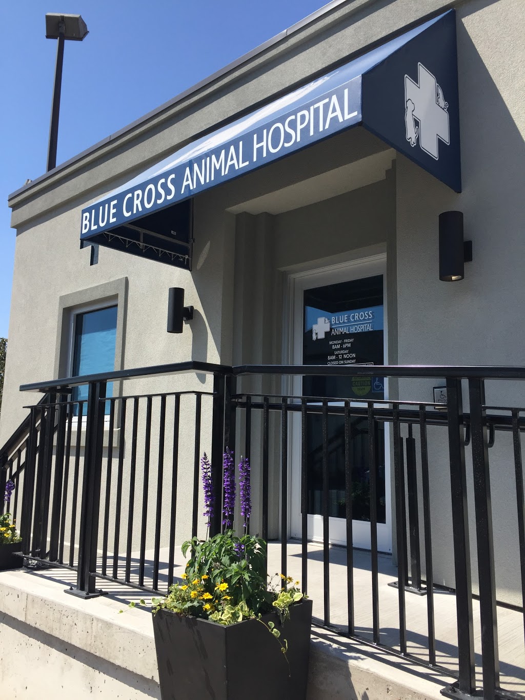 Blue Cross Animal Hospital | 612 King St W, Hamilton, ON L8P 1C2, Canada | Phone: (905) 522-6879