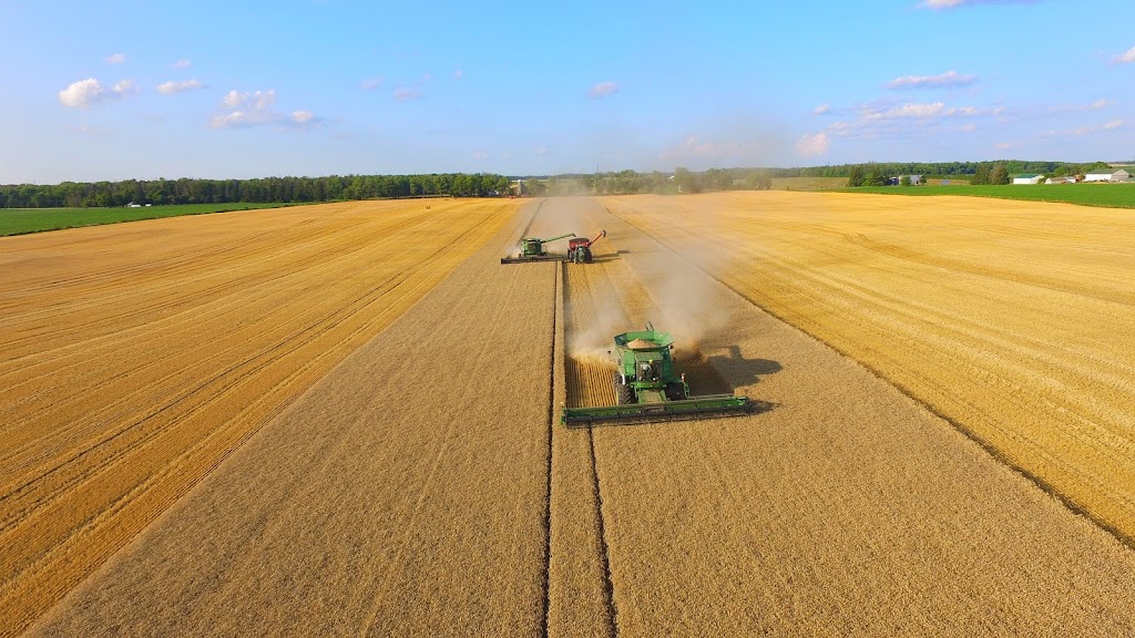 519 Aerial Imagery | 5348 Perth Line 29 RR#2, Mitchell, ON N0K 1N0, Canada | Phone: (519) 301-5738