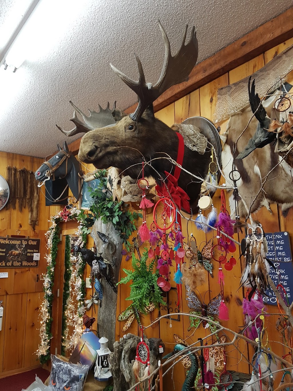 High Spring Trading Post & Saddlery | 8239 Hwy 7 RR 3, Havelock, ON K0L 1Z0, Canada | Phone: (705) 778-3760