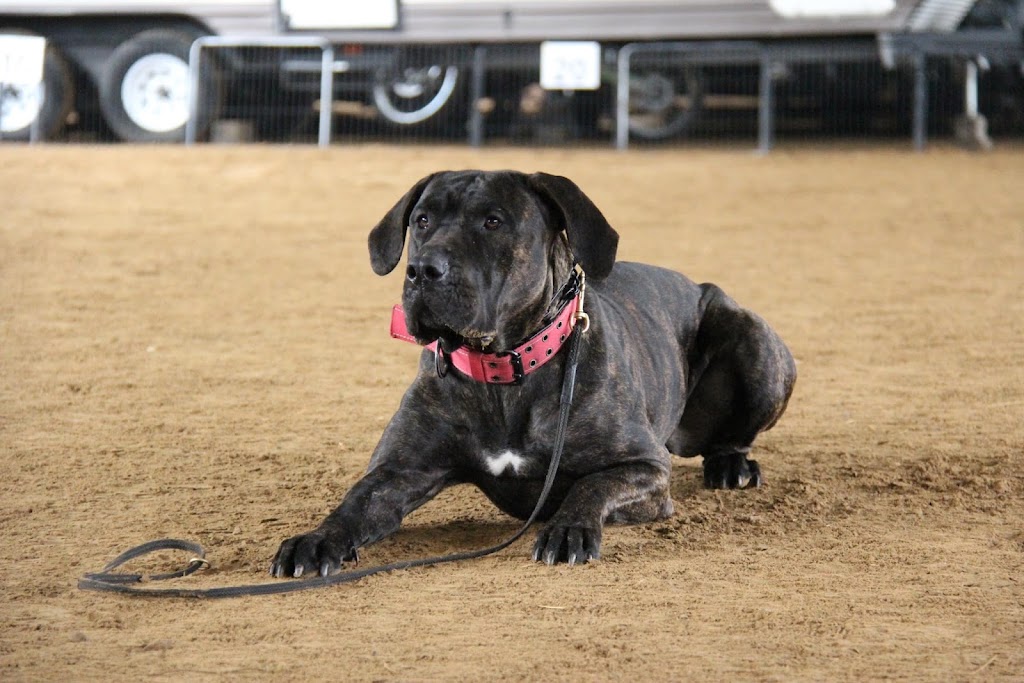 Frontier Canine Boarding | 5661 Egremont Dr, Ilderton, ON N0M 2A0, Canada | Phone: (416) 707-0281