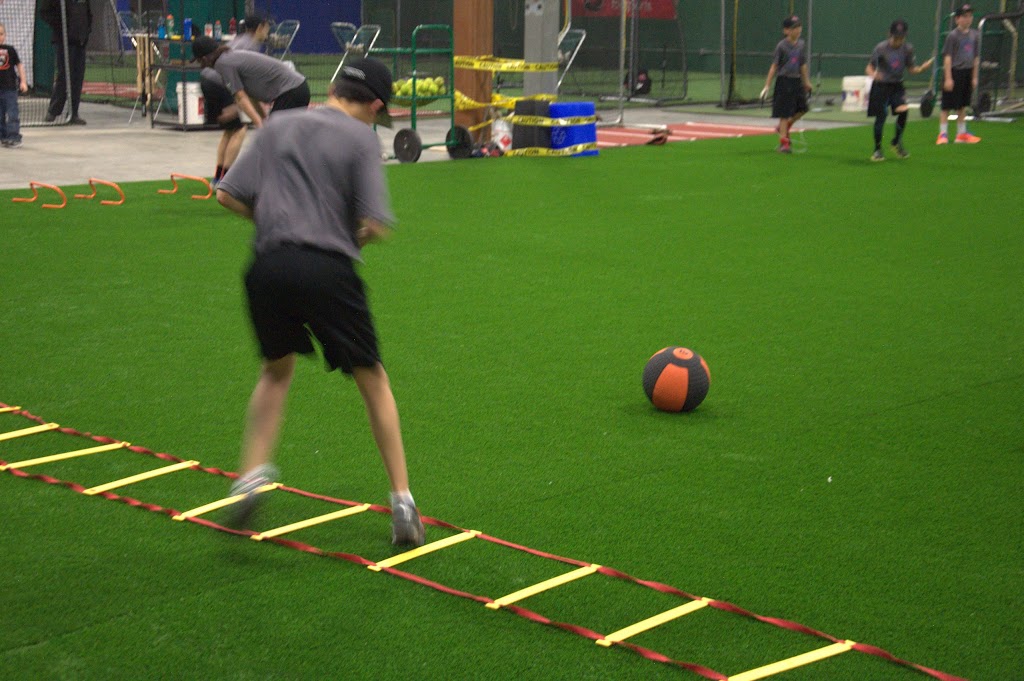 Coyote Den | 3054 15 St NE, Calgary, AB T2E 7A3, Canada | Phone: (403) 273-8552