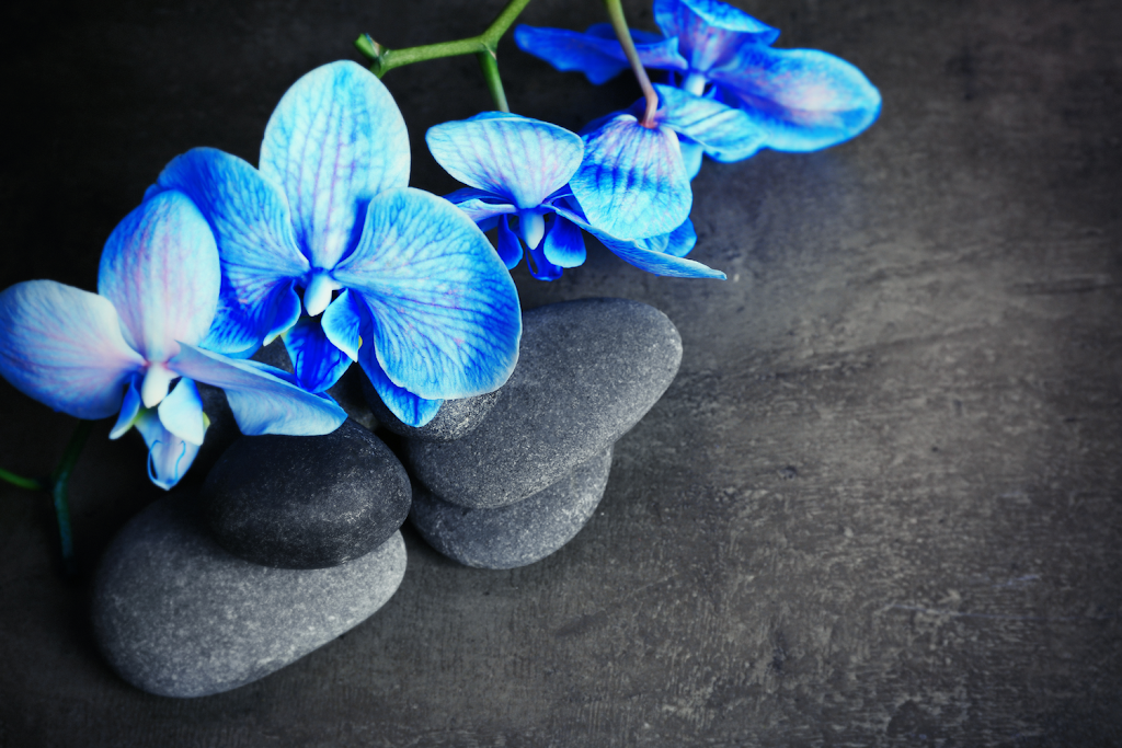 NUE SKINCARE & SPA | 4735 Southwestern Blvd, Hamburg, NY 14075, USA | Phone: (716) 400-1143
