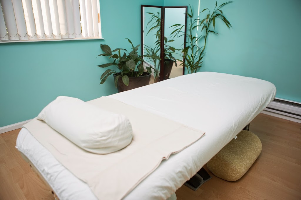 Shiatsu and CranioSacral Therapy by Francesca | 2633 Parker St, Vancouver, BC V5K 2T5, Canada | Phone: (604) 715-0011