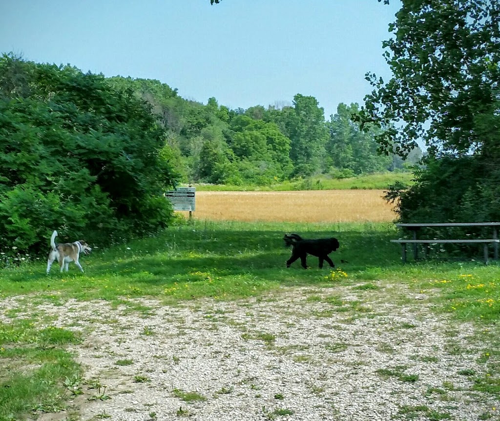 Fingal Wildlife Management Area | 34469 Fingal Line, Fingal, ON N0L 1K0, Canada