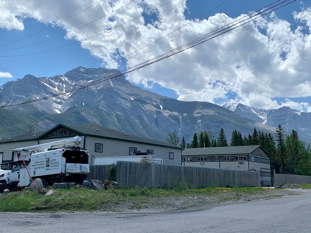 Alpine Precision Tree Services Ltd. | Unit 11, #1 Cougar Mountain Cres, Exshaw, AB T0L 2C0, Canada | Phone: (403) 678-7312