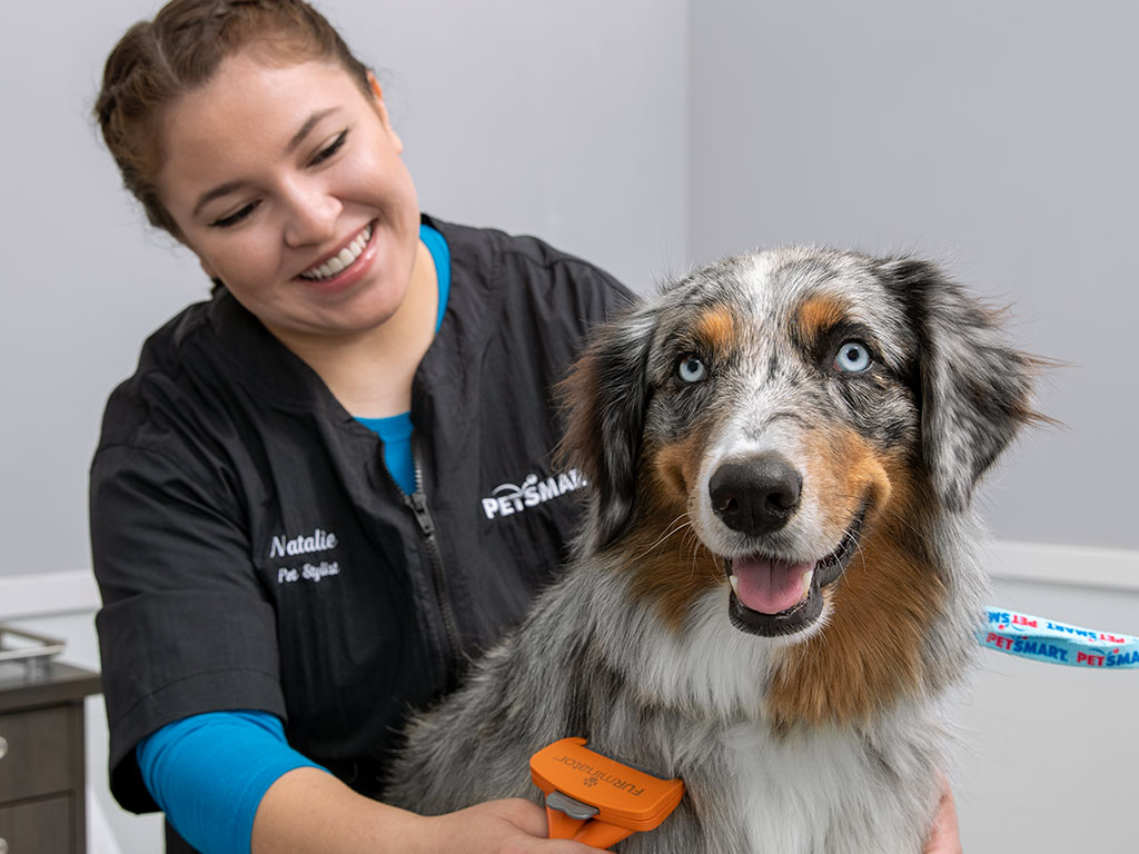 PetSmart | 80 Longview Common SE #610, Southeast Calgary, AB TaX 4S7, Canada | Phone: (825) 407-0030
