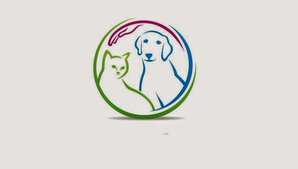 Village Centre Animal Hospital | 2668 Binbrook Rd, Binbrook, ON L0R 1C0, Canada | Phone: (905) 692-8387