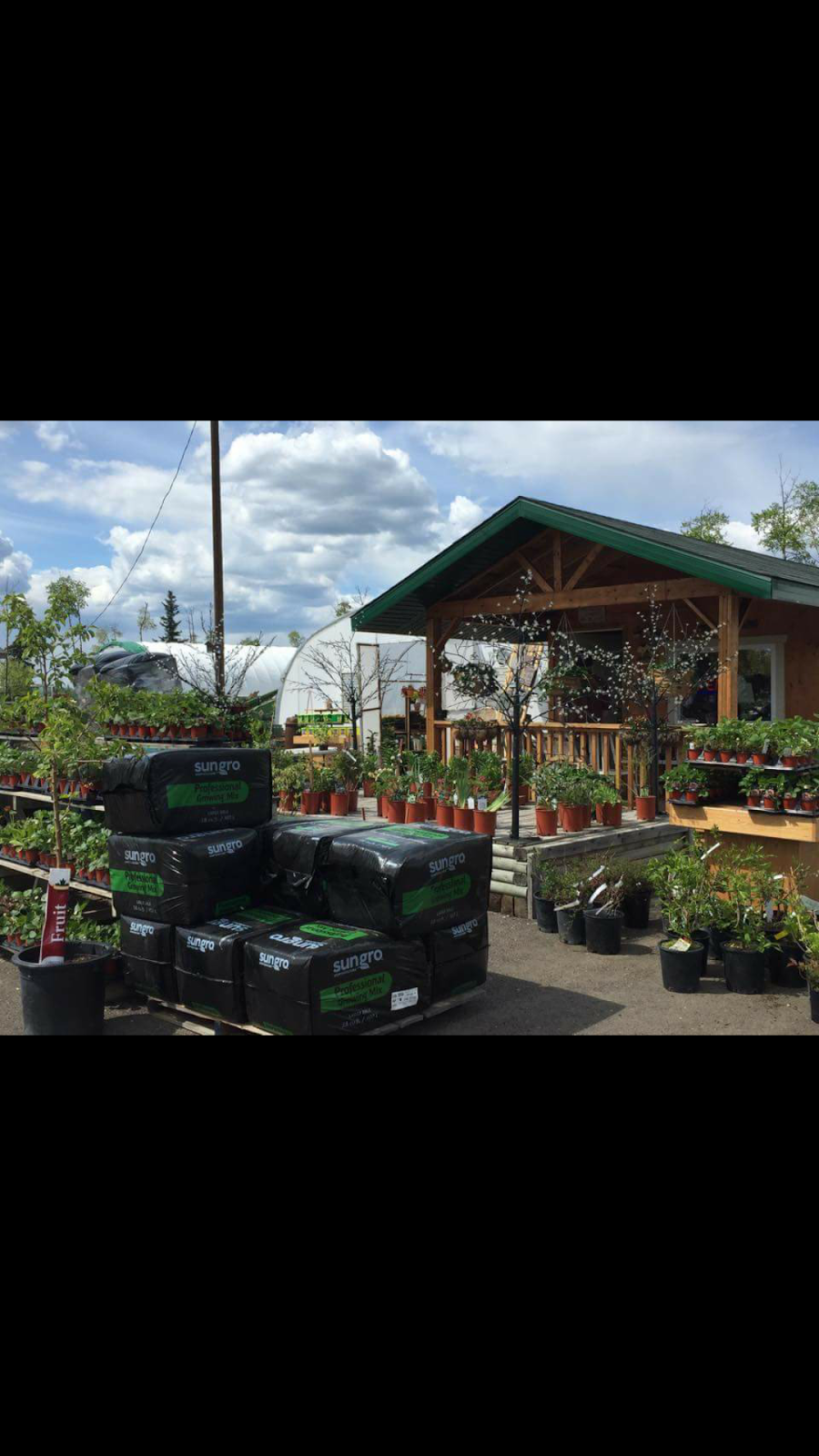 Bellis Garden and Greenhouses | store | 60106 Range Rd 152, Bellis, AB T0A 0J0, Canada | 7806362669 OR +1 780-636-2669