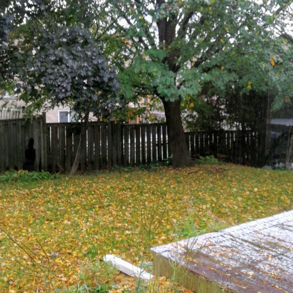 Willow park | Unnamed Road, Whitby, ON L1N 7Z8, Canada