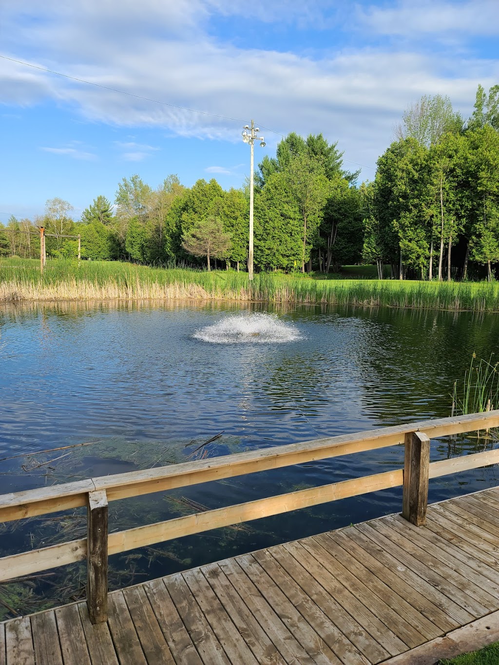Cedar Link Golf Centre | 611 Huronia Rd, Barrie, ON L4N 7W8, Canada | Phone: (705) 727-4653