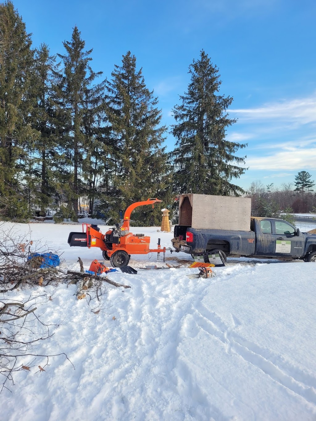 Northside Tree Experts | 64 Scott St, Orillia, ON L3V 4R4, Canada | Phone: (705) 896-5204