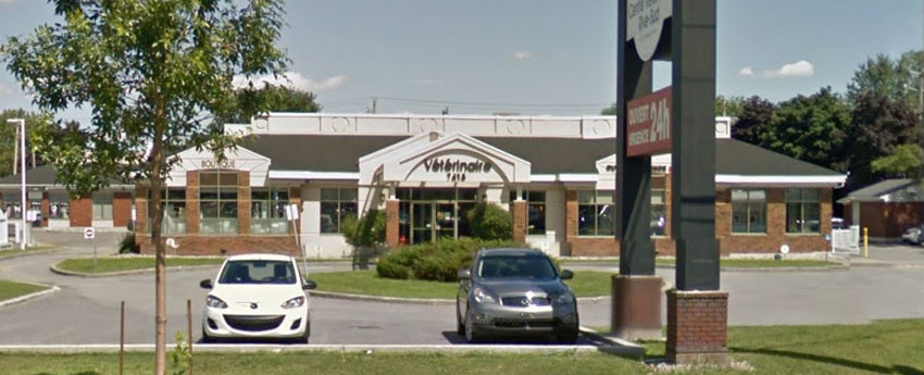 Centre Vétérinaire Rive-Sud | 7415 Boulevard Taschereau, Brossard, QC J4Y 1A2, Canada | Phone: (450) 656-3660