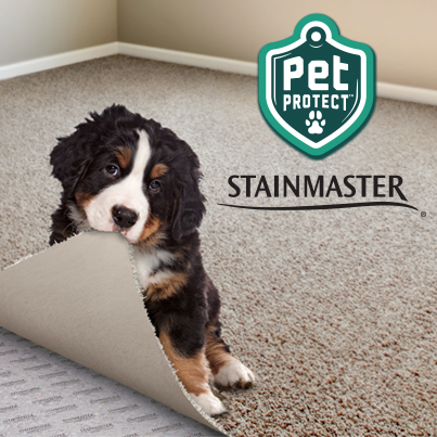 Floor Coverings International Calgary | 6323 Bowness Rd NW #102, Calgary, AB T3B 0E4, Canada | Phone: (403) 457-4324
