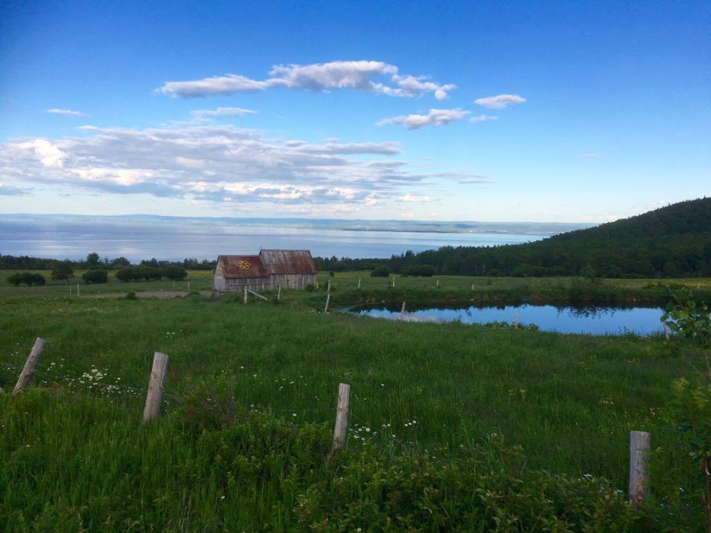 Miellerie du cratère de Charlevoix | 3390 Route du Fleuve, Les Éboulements, QC G0A 2M0, Canada | Phone: (418) 617-0728