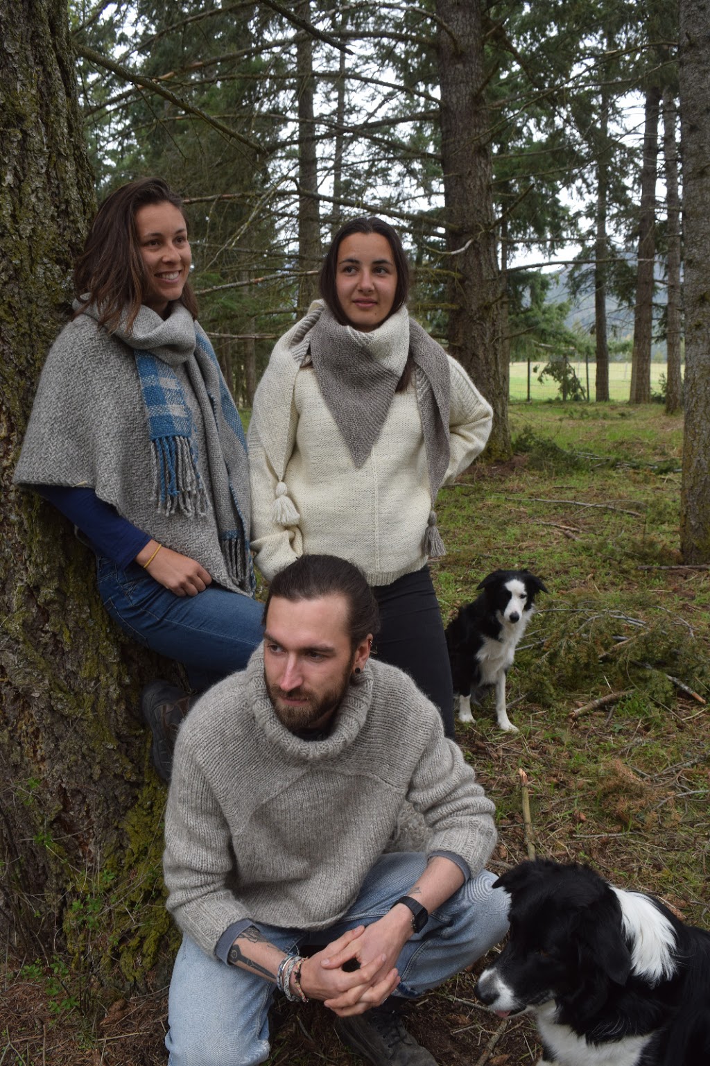 Disdero Ranch | 1235 Tappen Notch Hill Rd, Tappen, BC V0E 2X3, Canada | Phone: (604) 219-8601