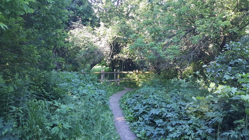 Stoneybrook Recreation Field | 815 Windermere Rd, London, ON N5X, Canada