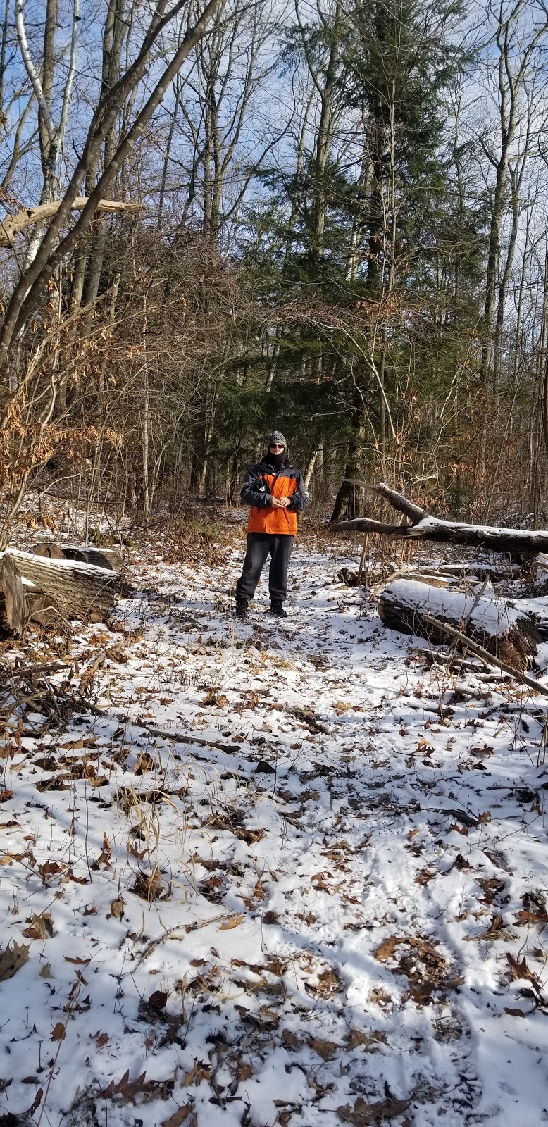 Forested Dunes Nature Reserve | Lambton Shores, ON N0M 2L0, Canada