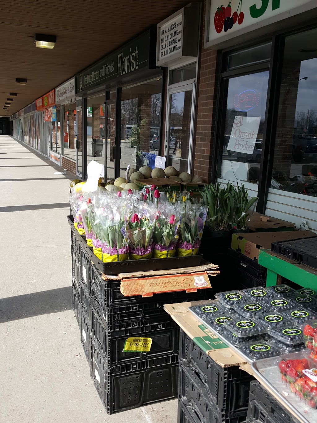 Richview Square | 250 Wincott Dr, Etobicoke, ON M9R 2R5, Canada | Phone: (416) 255-8800