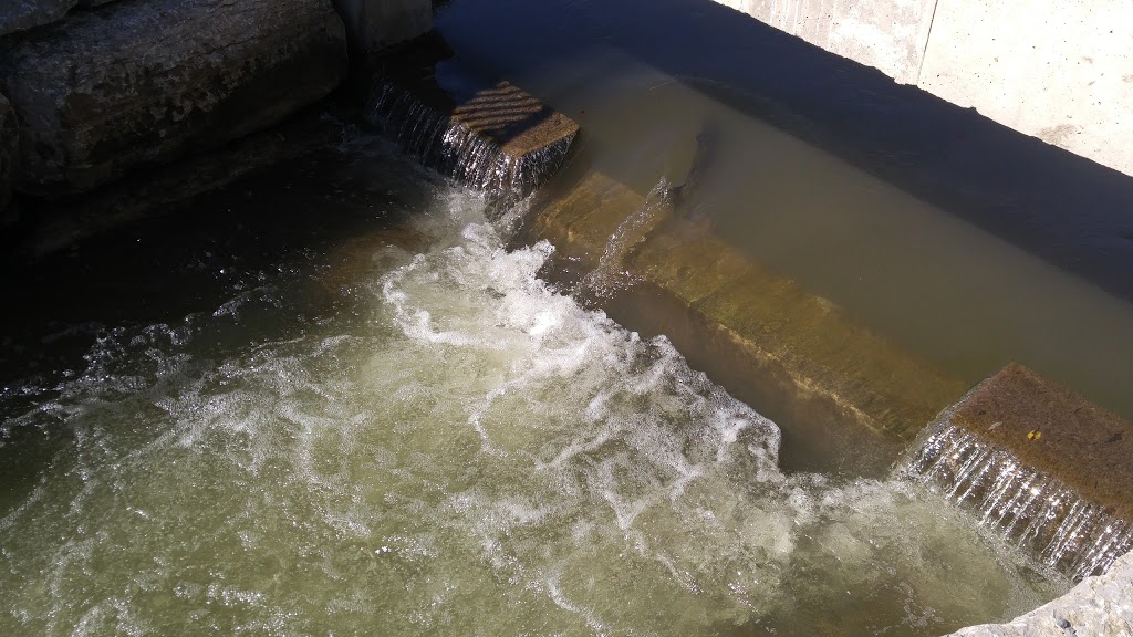 Bowmanville dam | 45 Raynes Ave, Bowmanville, ON L1C 1J3, Canada