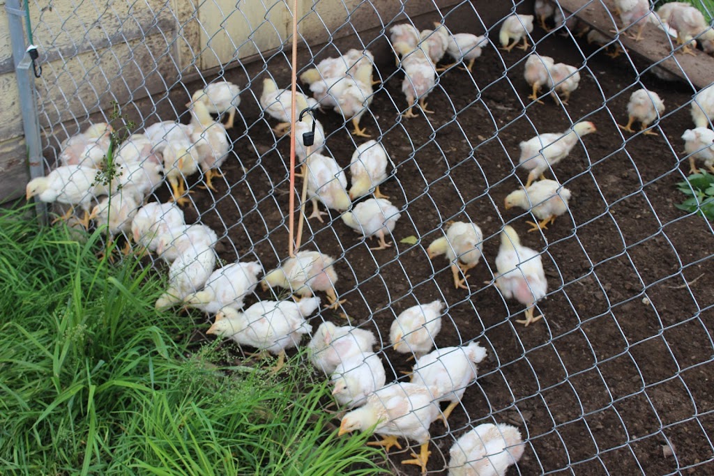 Falkenridge Farm | 1266 Falkenburg Rd, Bracebridge, ON P1L 1X4, Canada | Phone: (705) 645-7905