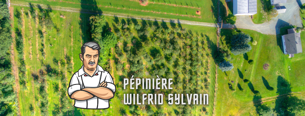 Pépinière Wilfrid Sylvain | 1021 3e Rang, Kinnears Mills, QC G0N 1K0, Canada | Phone: (418) 946-4553