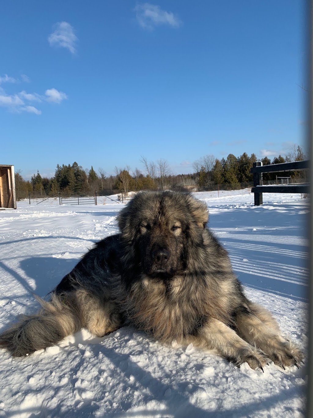 The Bonehouse B&B | 190 Wilson Rd, Yarker, ON K0K 3N0, Canada | Phone: (416) 889-6537