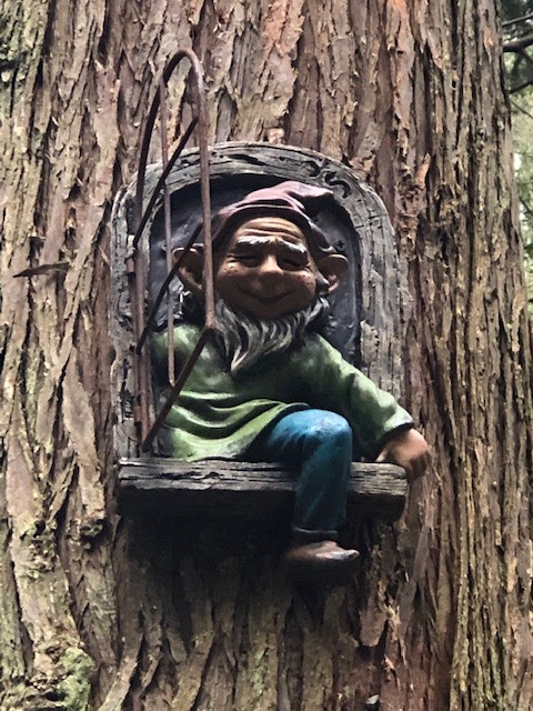Enchanted Forest Trail | 2050 Benson Rd, Point Roberts, WA 98281, USA