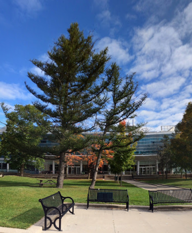 Carleton University Sport Medicine Centre | 1125 Colonel By Dr, Ottawa, ON K1S 5B6, Canada | Phone: (613) 520-3510