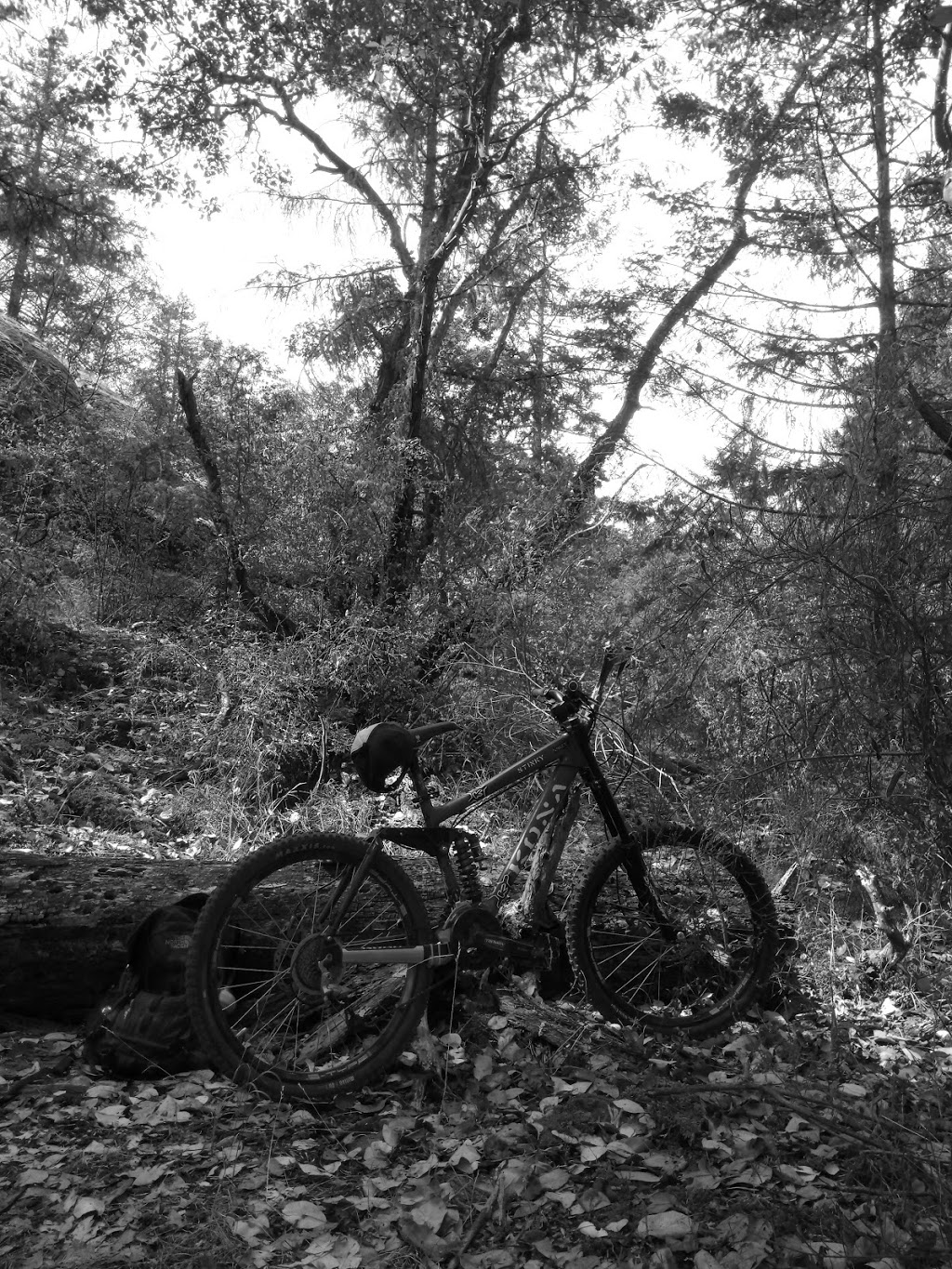 Mount Work Regional Park - Hartland Mountain Bike Parking Lot | 1 Hartland Ave, Victoria, BC V9E 1L7, Canada