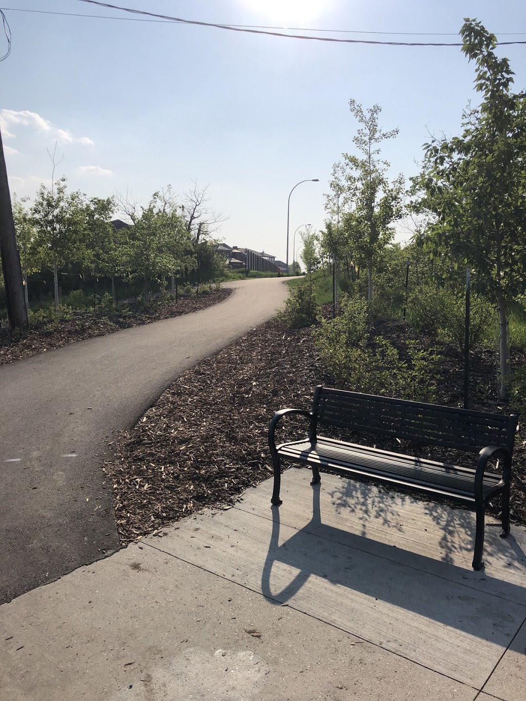 River Valley access initiative east trails | 1269-1359 167 Ave NE, Edmonton, AB T5Y 6L2, Canada