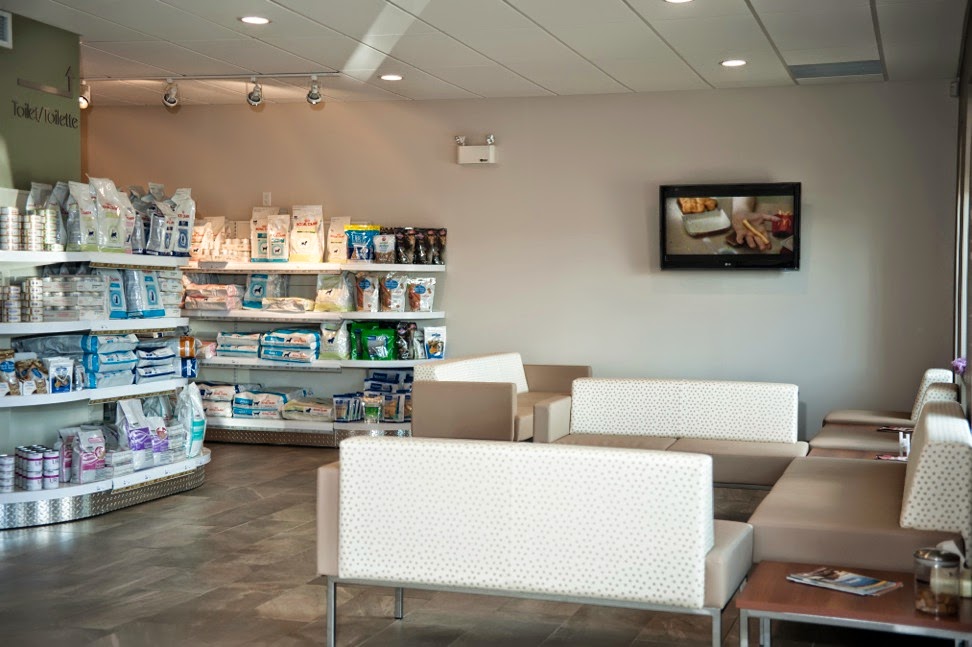 Maritime Animal Hospital (Moncton) | 1755 Main St, Moncton, NB E1E 1H2, Canada | Phone: (506) 389-2121