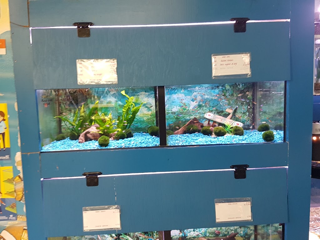 Animalerie Dyno | 79-A Rte du Président Kennedy, Lévis, QC G6V 6C8, Canada | Phone: (418) 833-2550