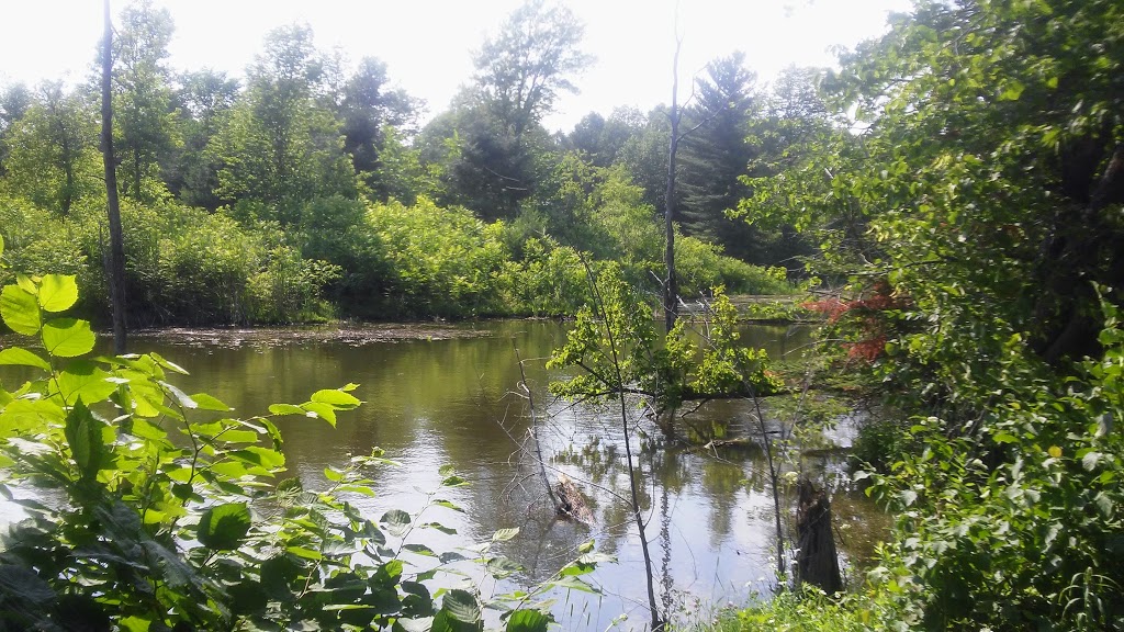 Parc du Domaine | 1565 Montée du Domaine, Mascouche, QC J7K 3C2, Canada | Phone: (450) 474-4133