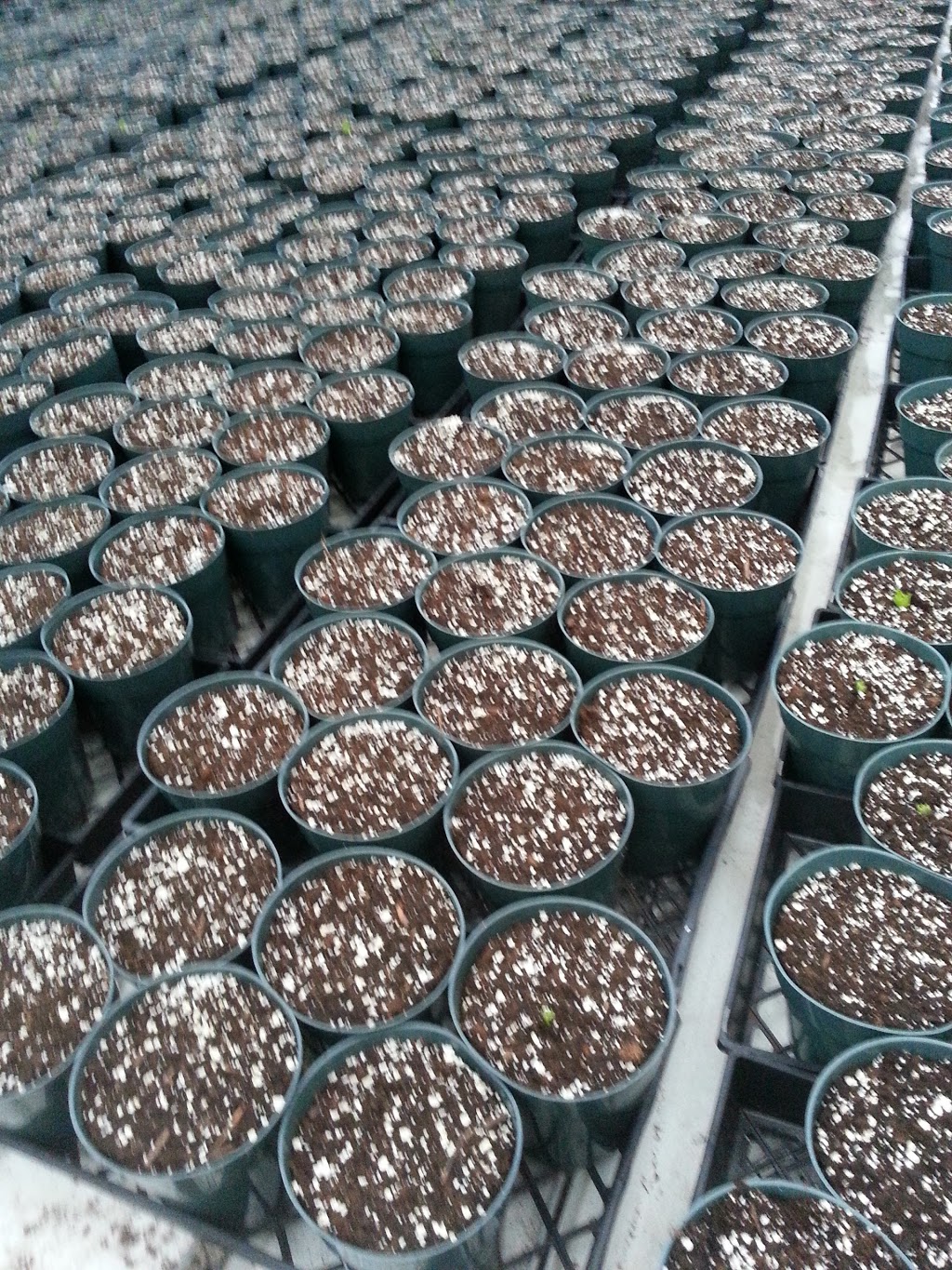 Meyers Fruit Farms | 1444 Irvine Rd, Niagara-on-the-Lake, ON L0S 1J0, Canada | Phone: (888) 439-6997