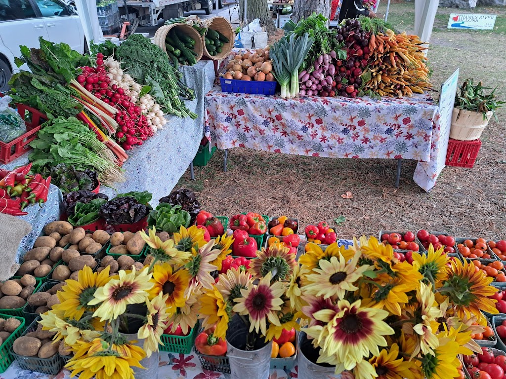 Simple Riches Organic Farm | 503781, Grey Rd 12, Markdale, ON N0C 1H0, Canada | Phone: (226) 568-1403