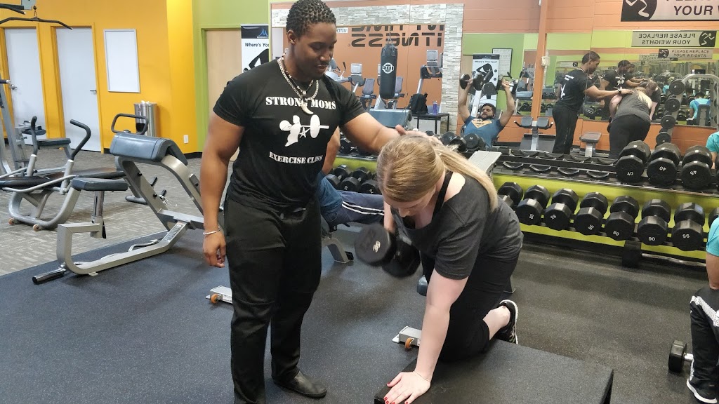 Seventh Star Fitness | 55 Ellerslie Ave, North York, ON M2N 1X9, Canada | Phone: (647) 567-8044