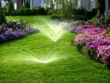 Nutri-Lawn Ecology Friendly Lawn Care Ottawa West | 2046 Carp Rd, Carp, ON K0A 1L0, Canada | Phone: (613) 801-3428